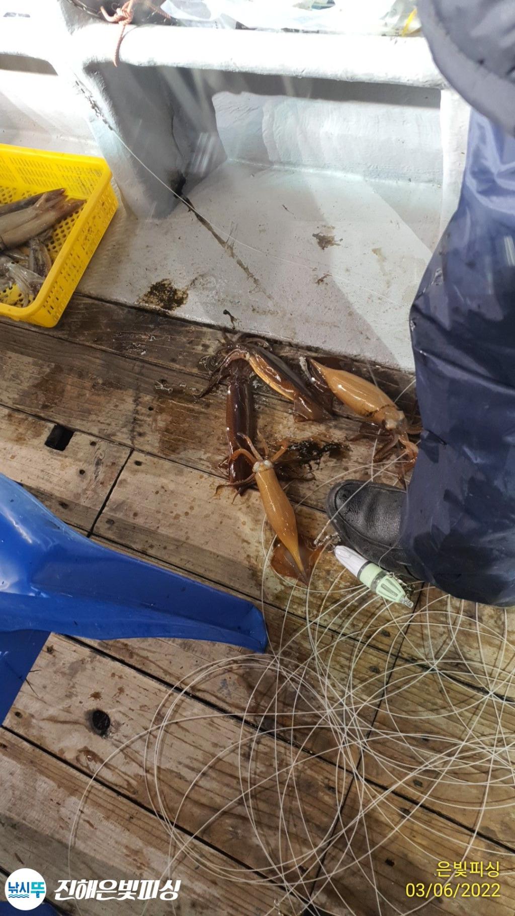 F1625420XN.jpg