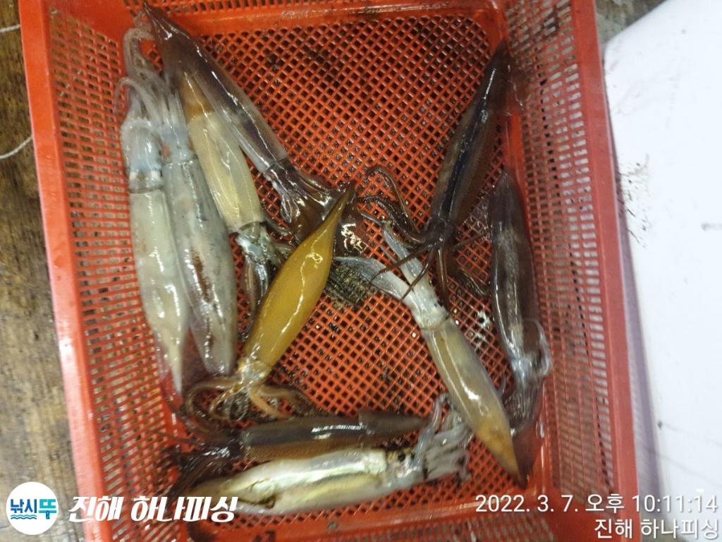 F1626504SI.jpg