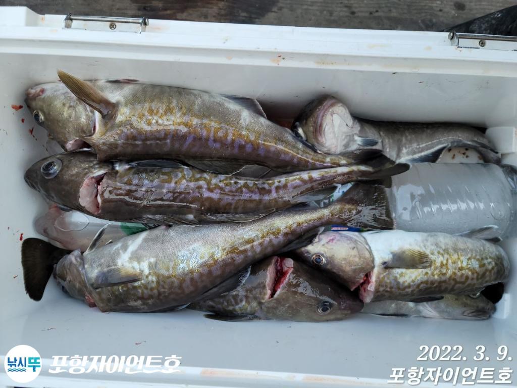 F1627520GZ.jpg