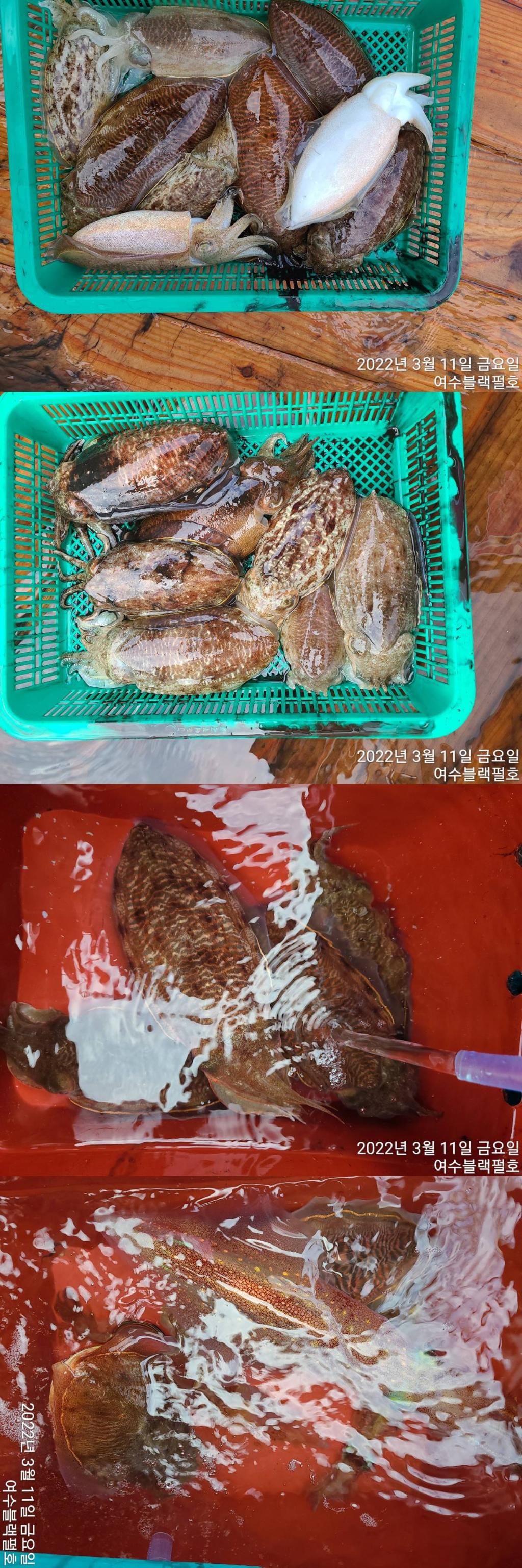 F1631397JY.jpg