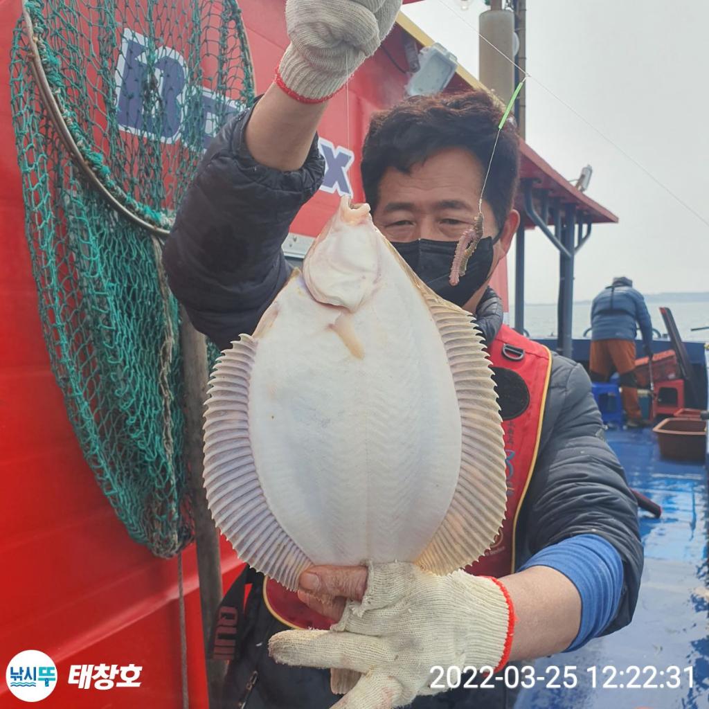 F1638873QS.jpg