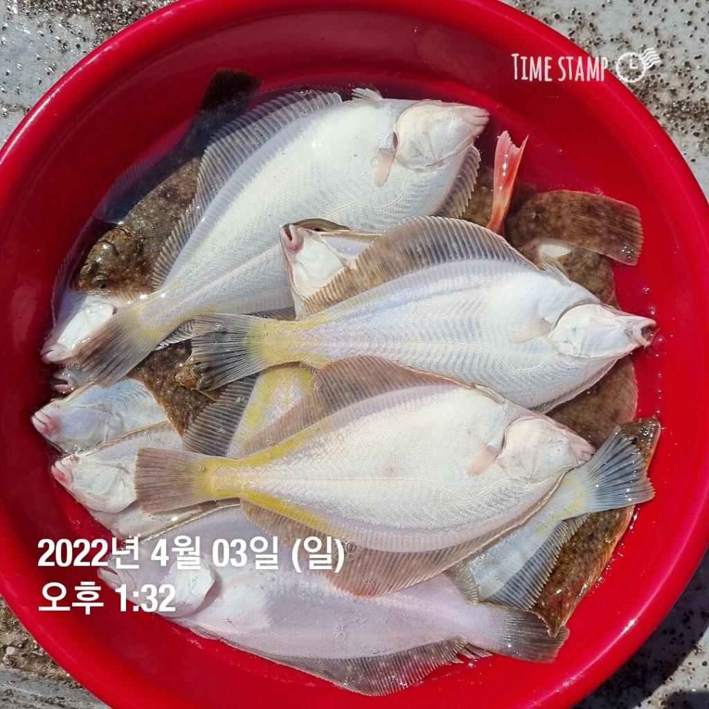 F1643696GY.jpg