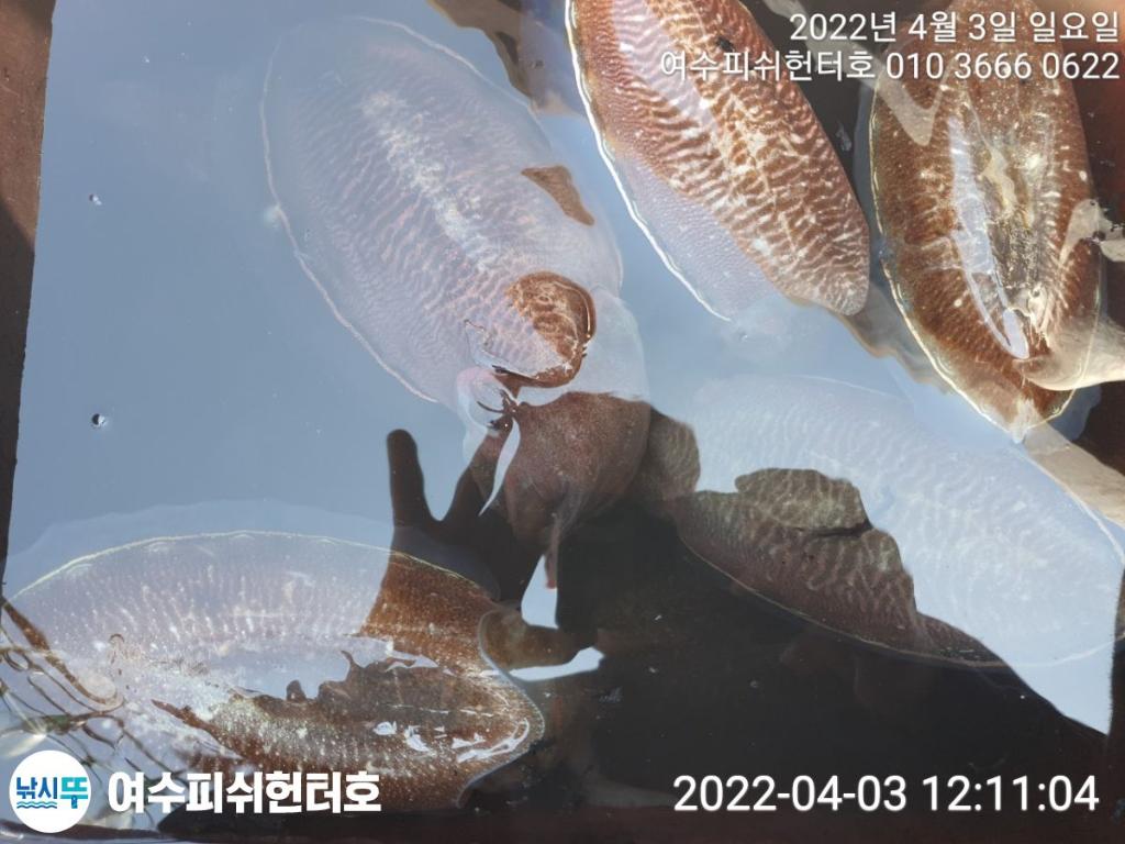 F1644156L7.jpg