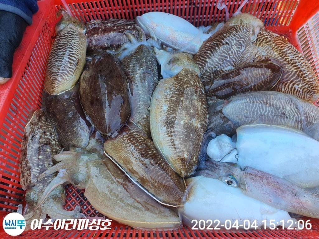 F1645339EU.jpg