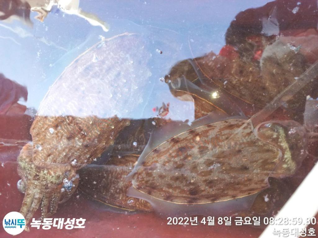F1648684LQ.jpg