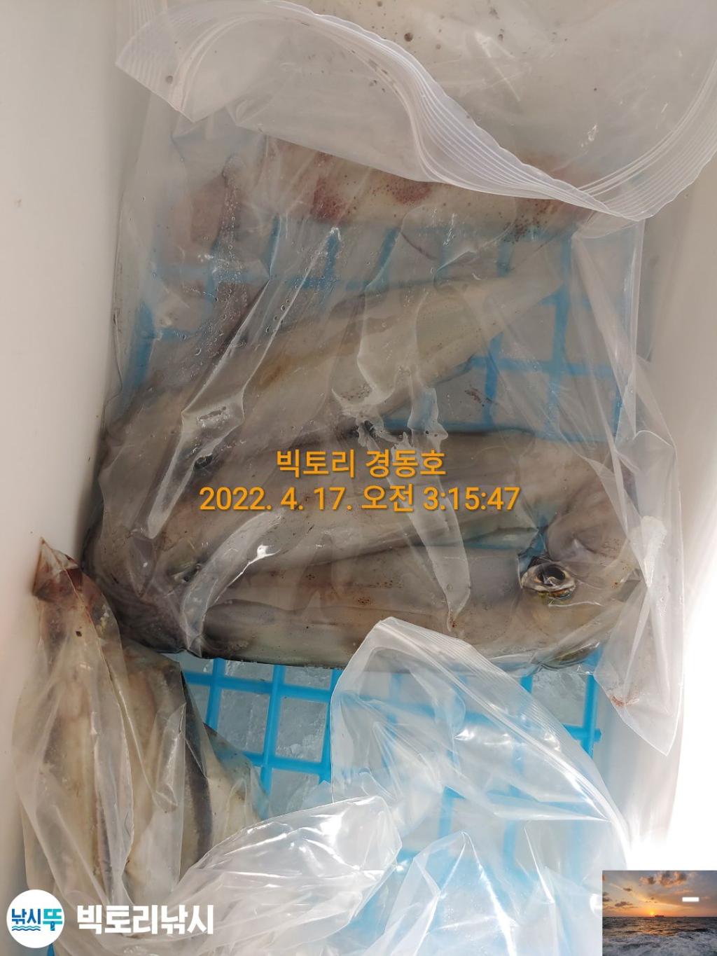 F1655073FR.jpg