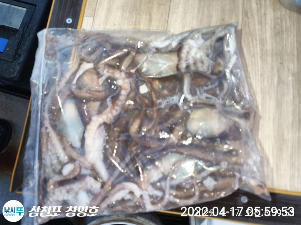 F1655132KB.jpg