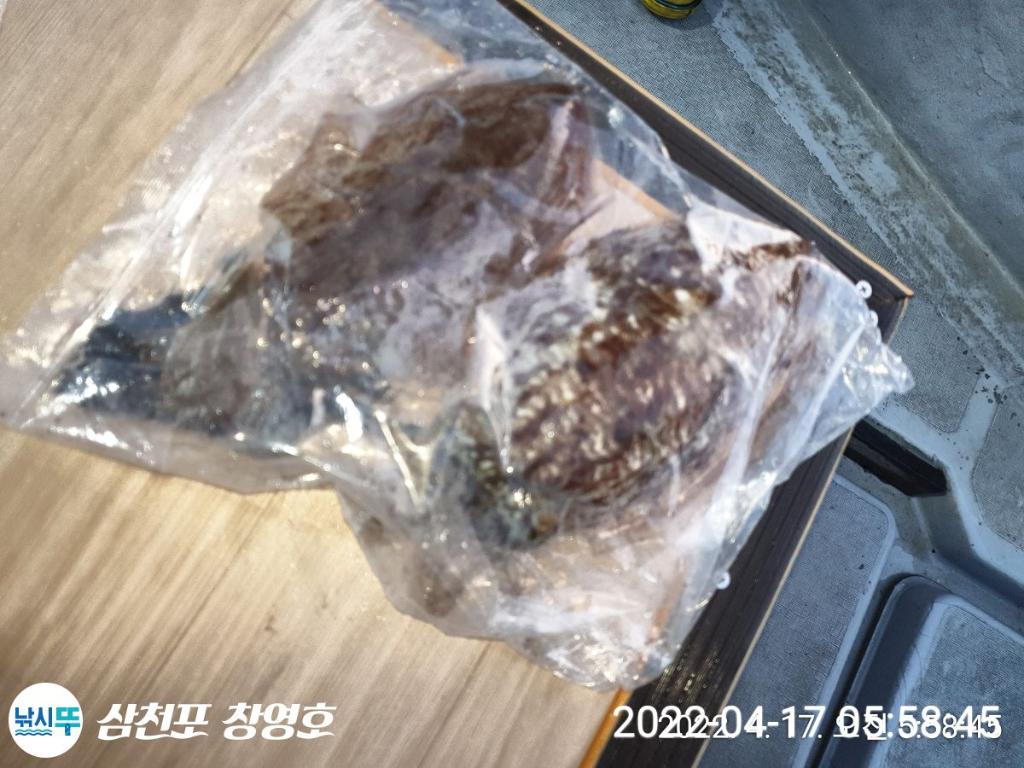F1655133ZK.jpg