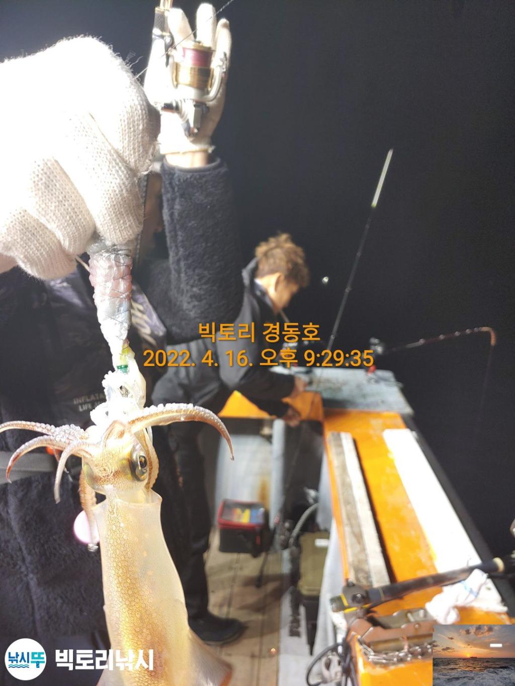 F1657869MH.jpg