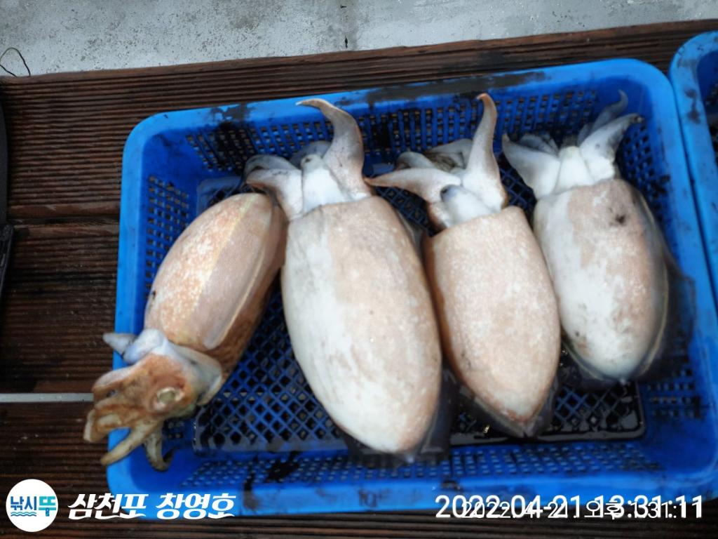 F1658505GM.jpg