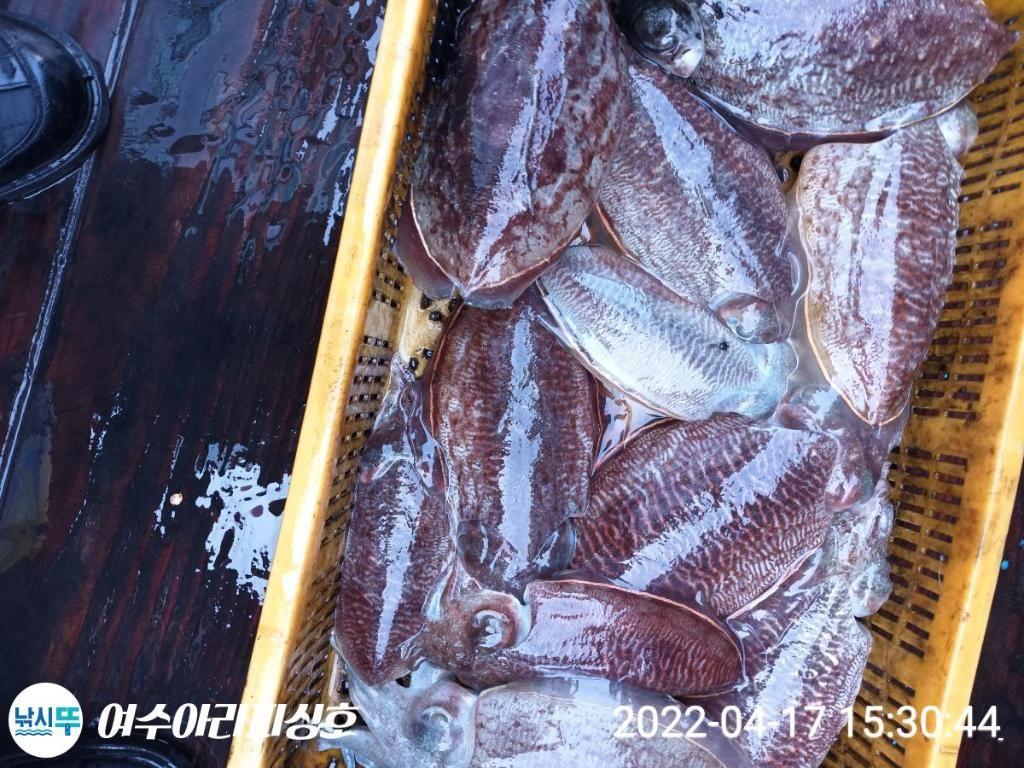 F16586422N.jpg
