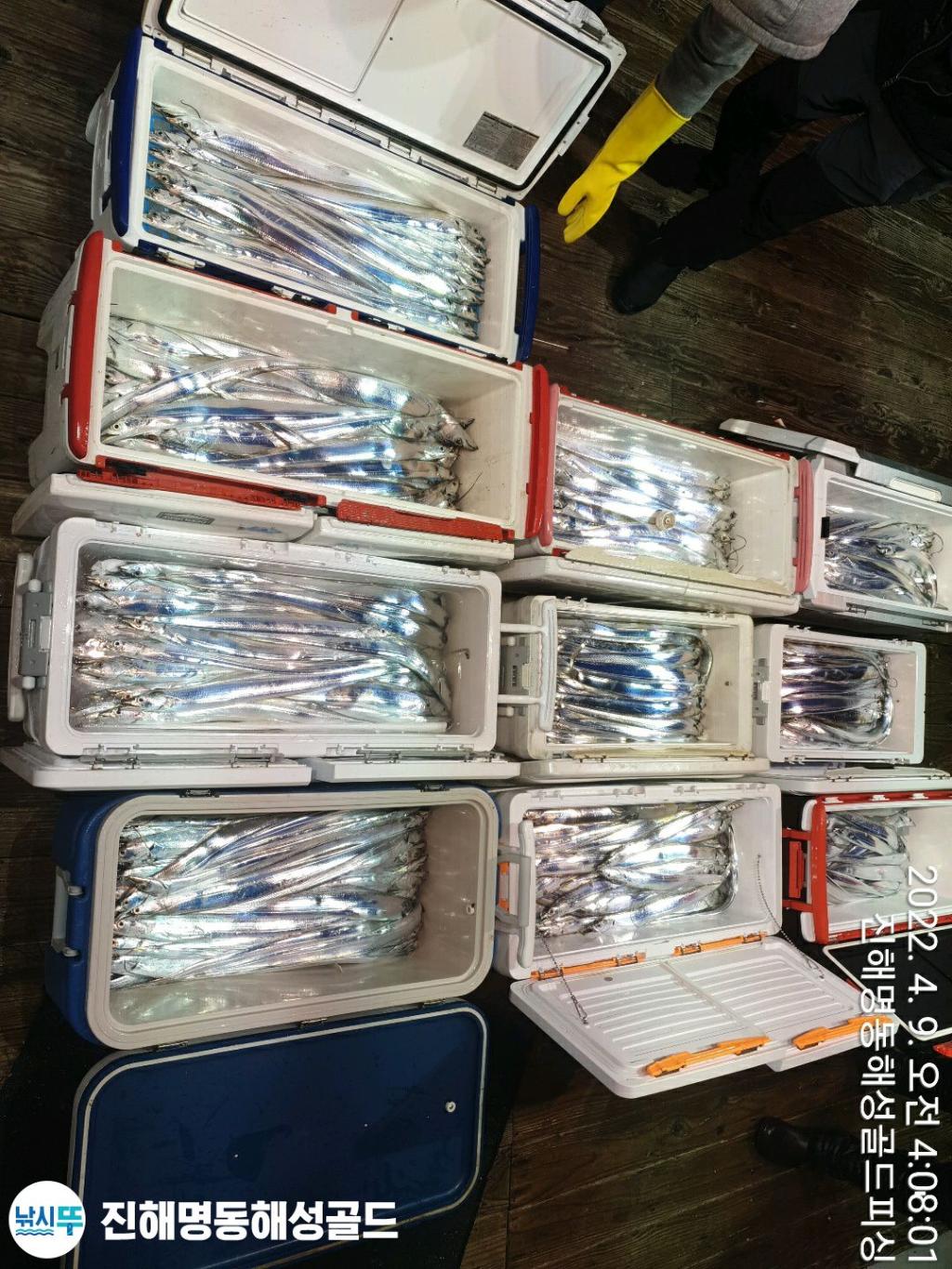 F1658844KO.jpg