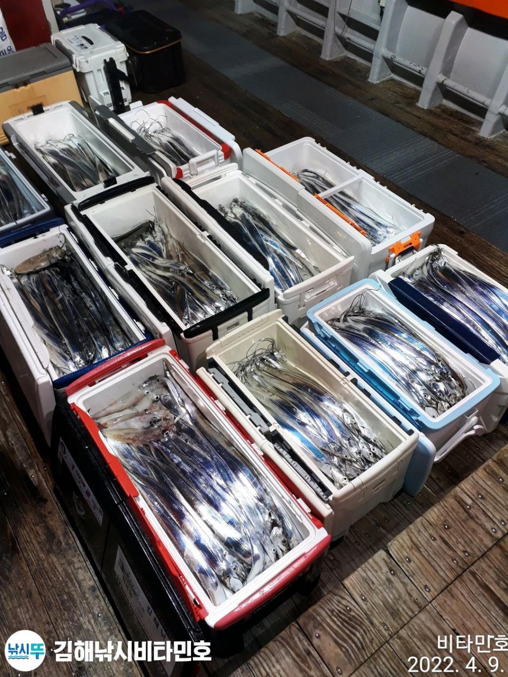 F1659083V6.jpg
