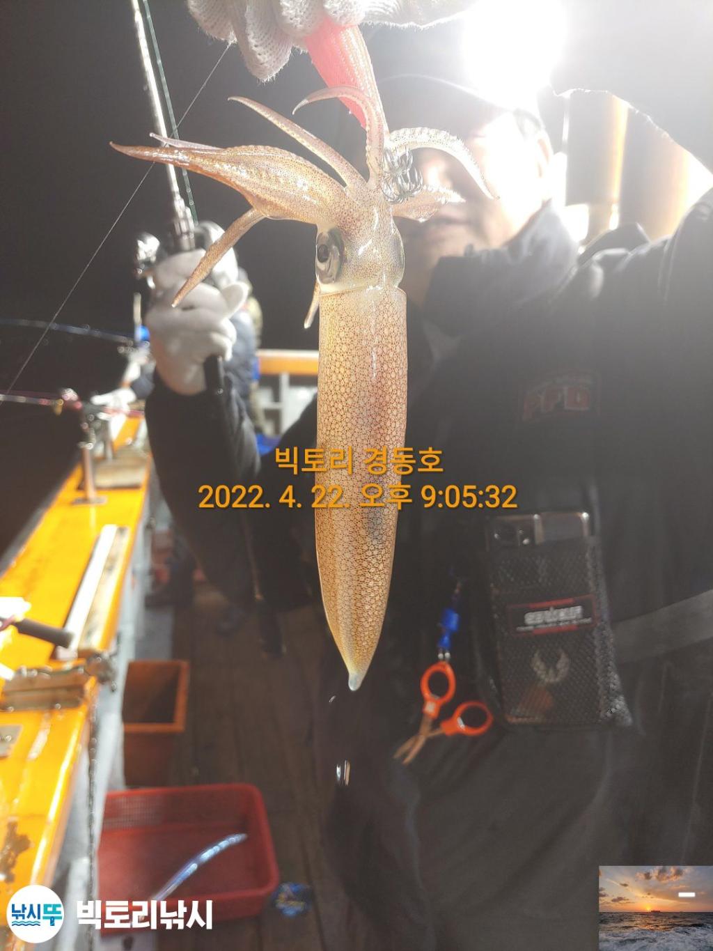 F1660616FP.jpg