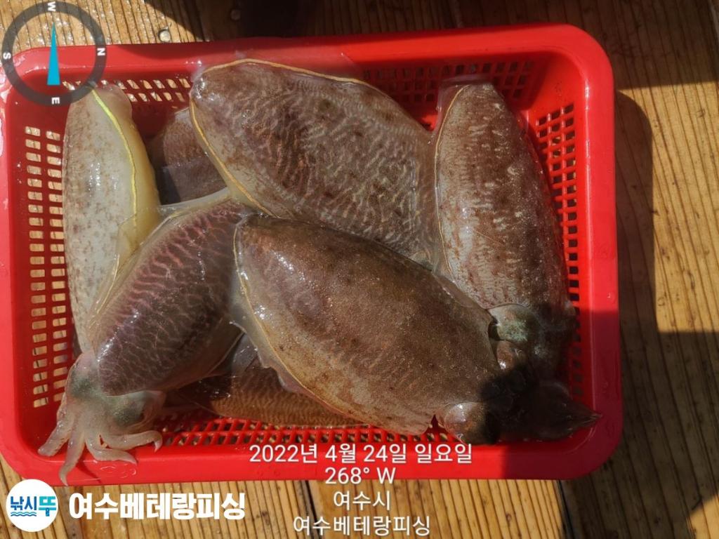 F16628454Q.jpg