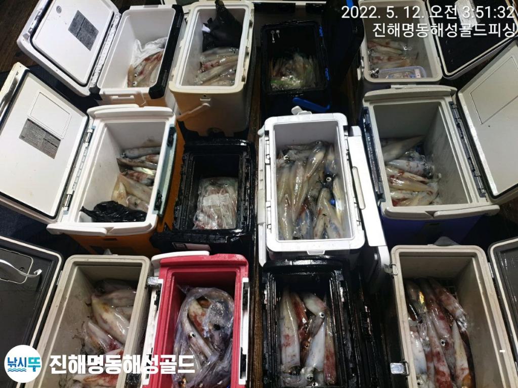 F1675044PY.jpg