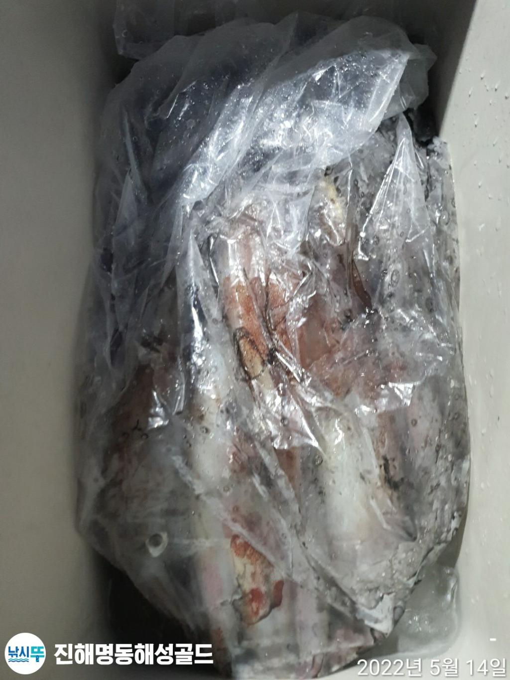 F1676916MX.jpg