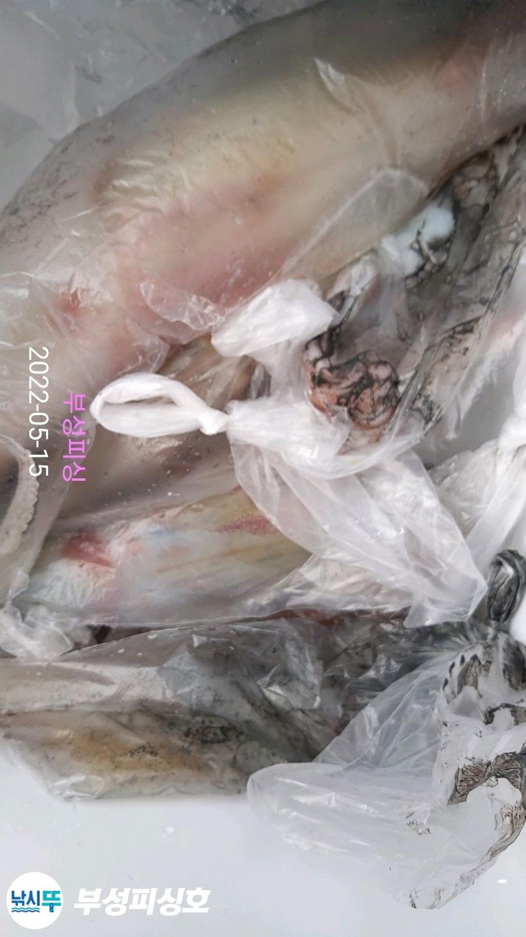 F1677200NC.jpg