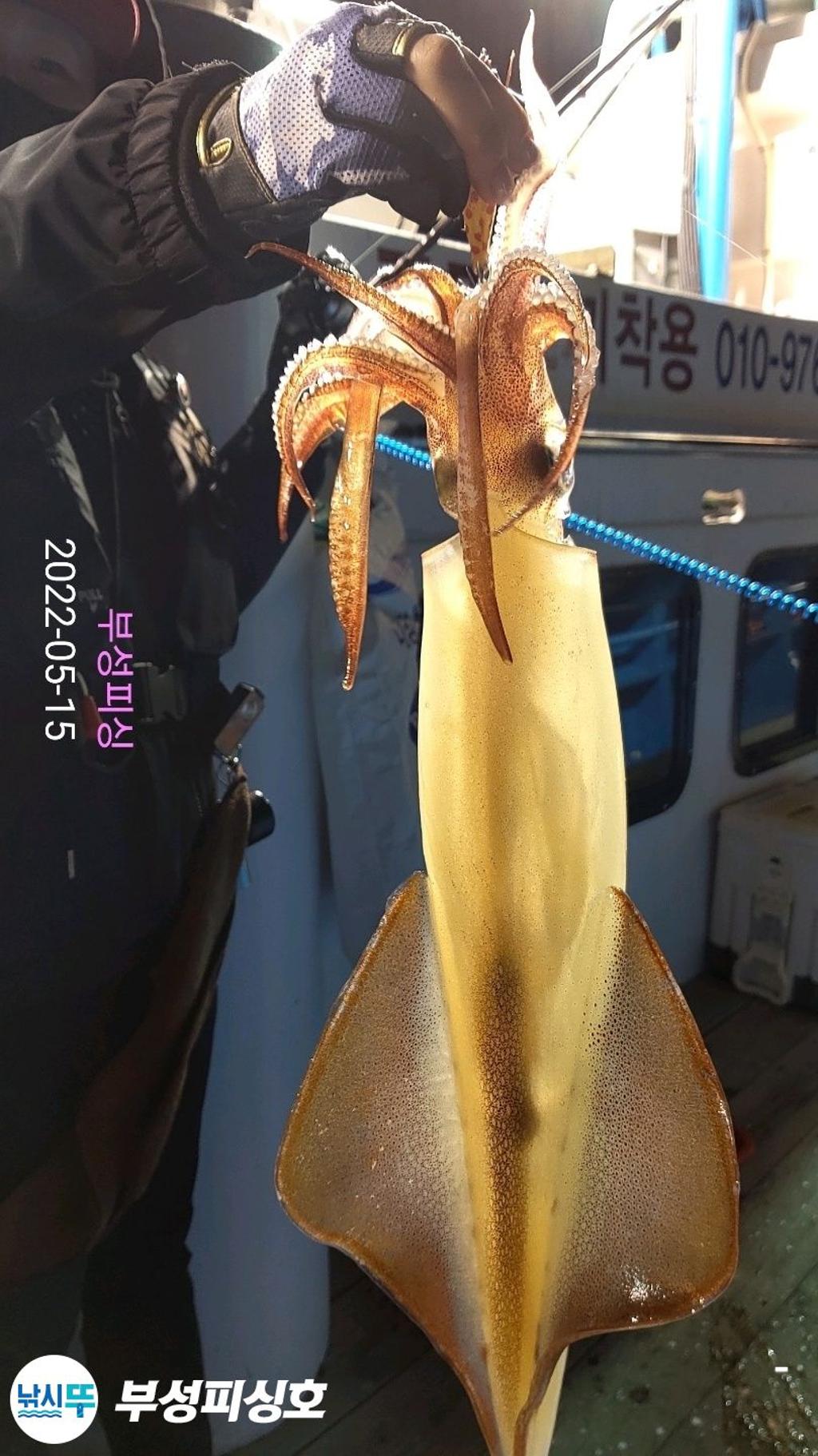 F1677205XU.jpg