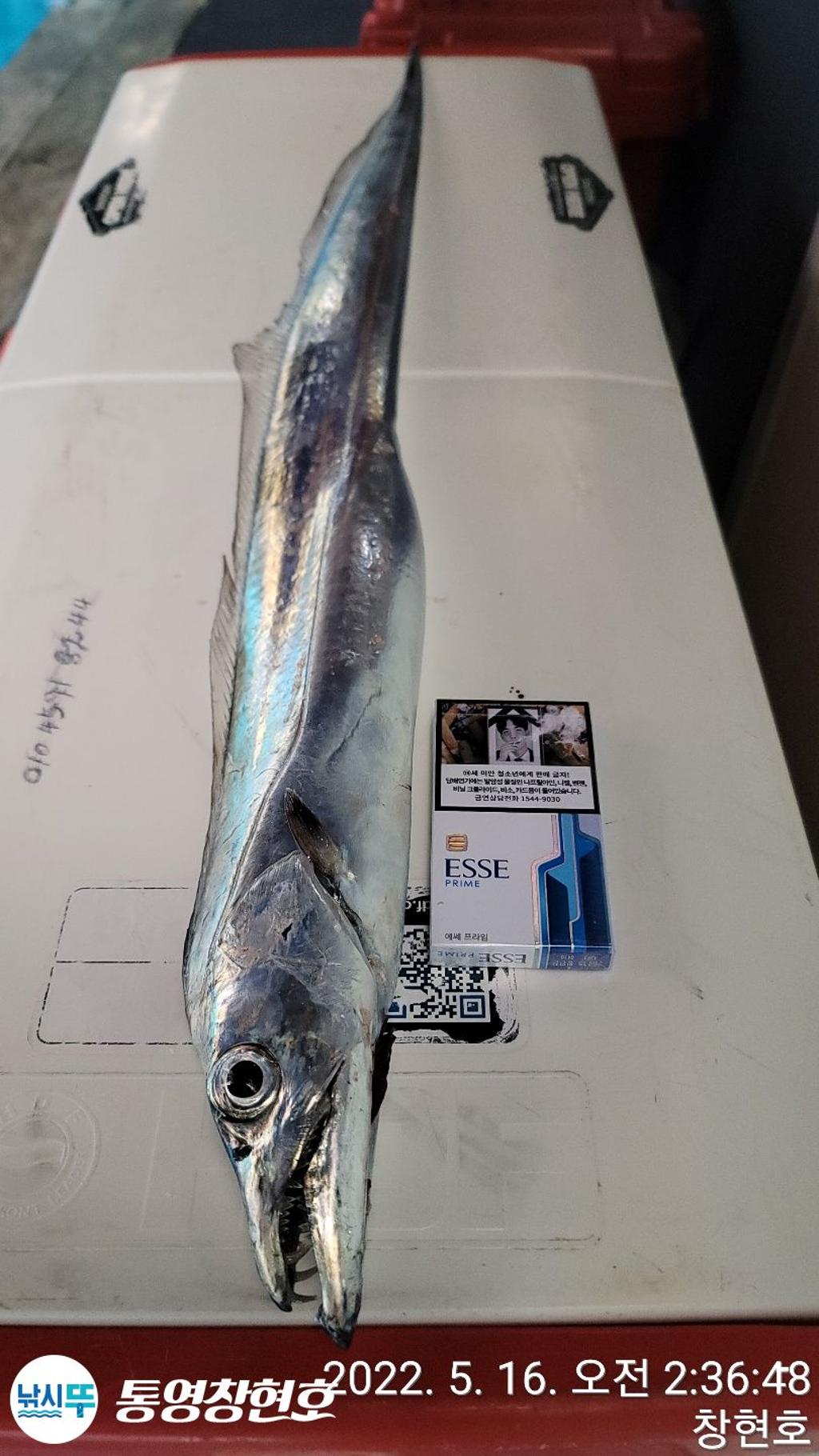 F1678081NH.jpg