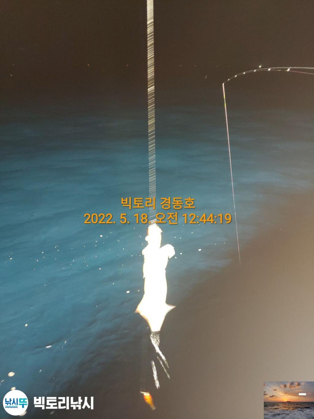 F16796801H.jpg