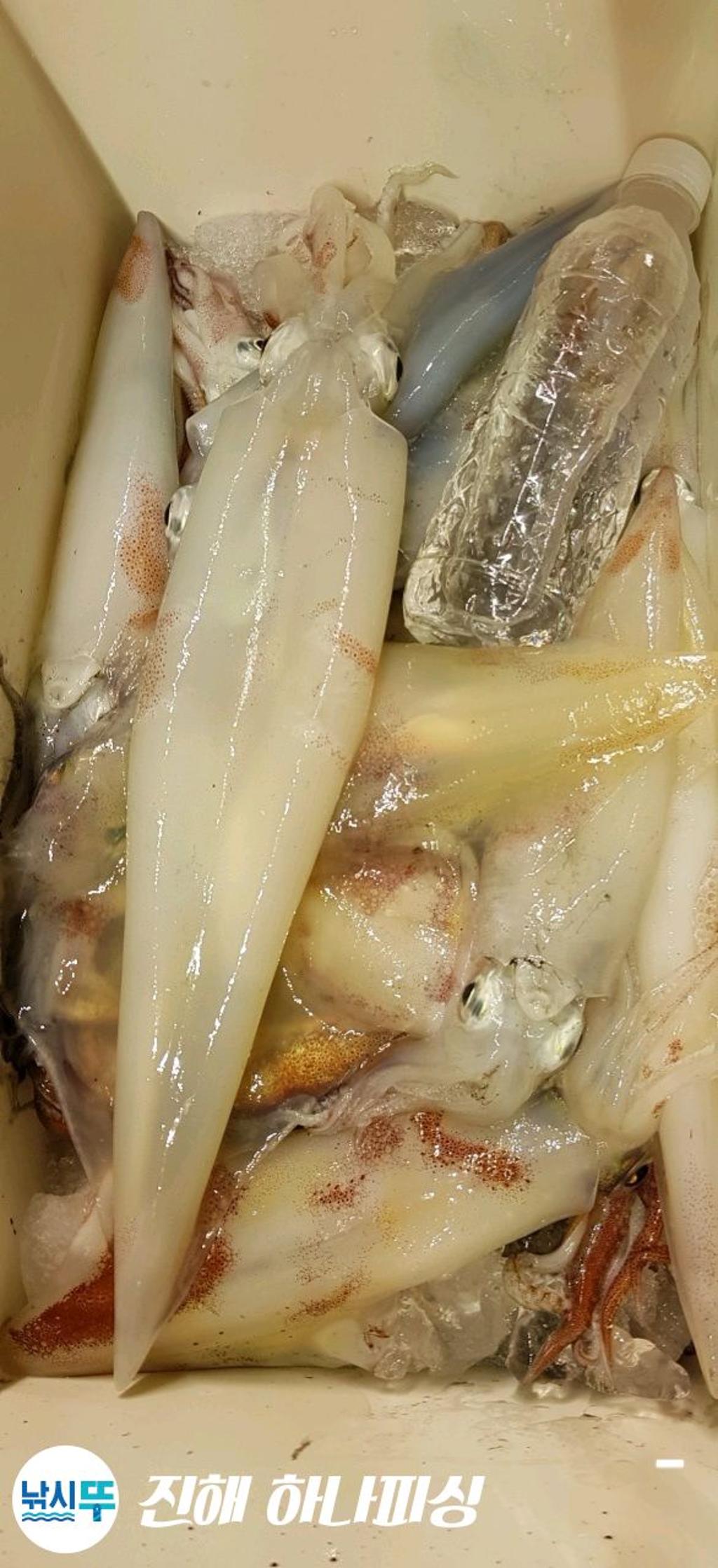 F16821353U.jpg