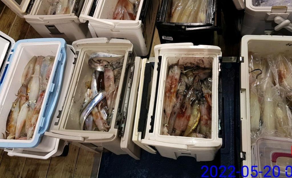 F1682142S9.jpg
