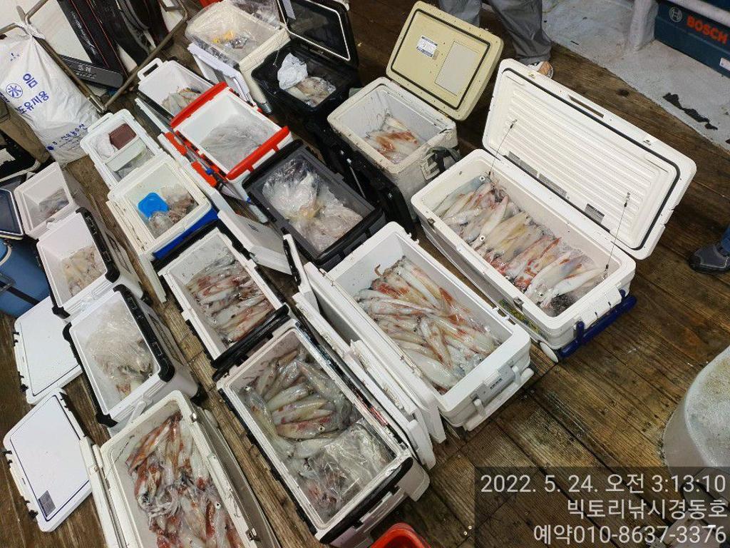 F1686912ZN.jpg