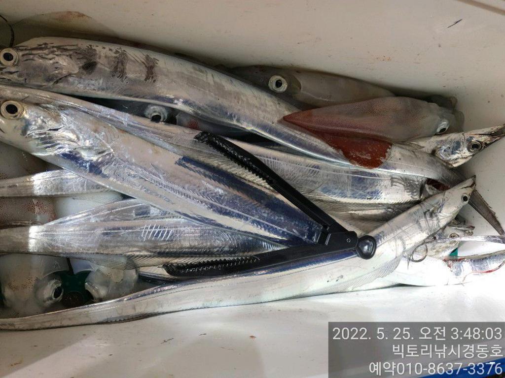 F16885614N.jpg