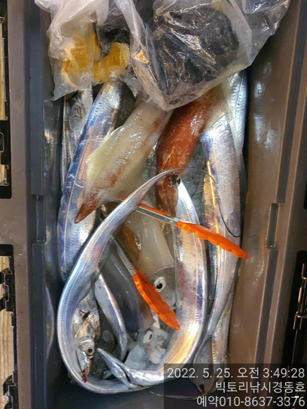 F1688565FD.jpg