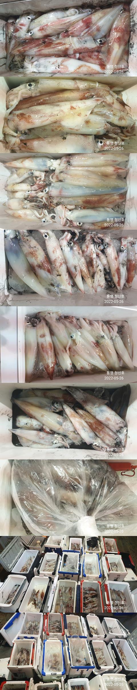 F1689364CN.jpg