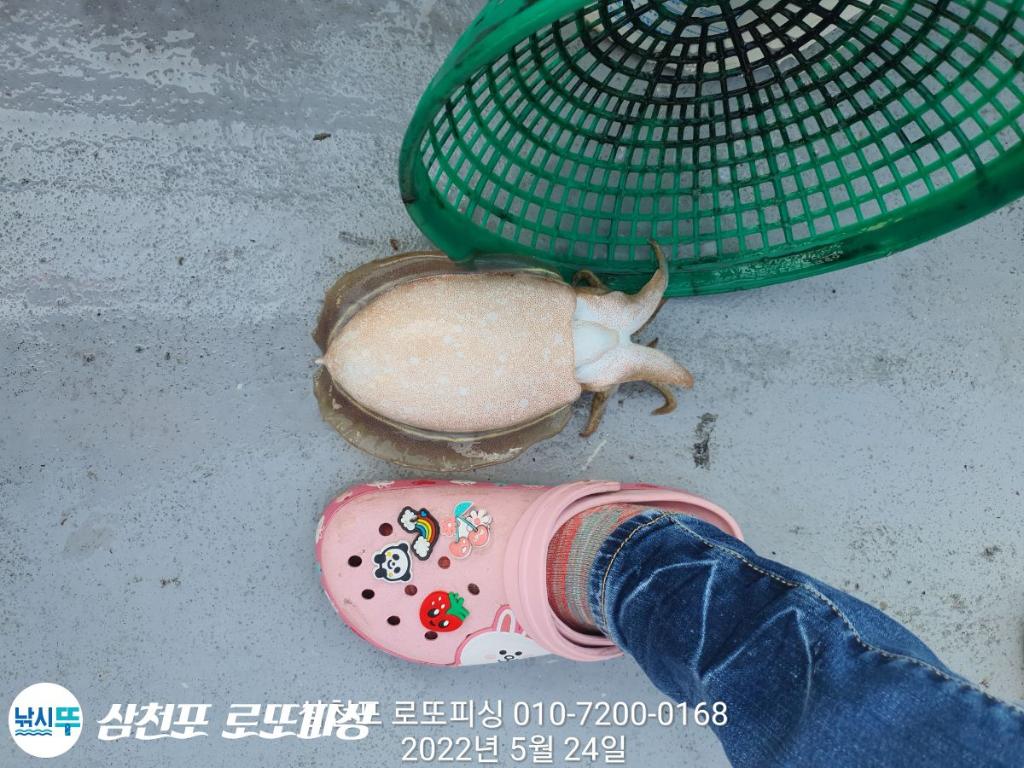 F1689905T6.jpg
