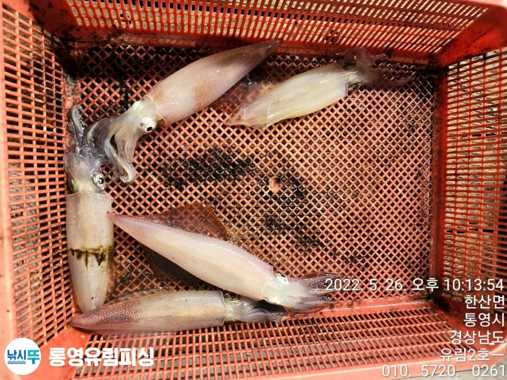 F1690085PX.jpg
