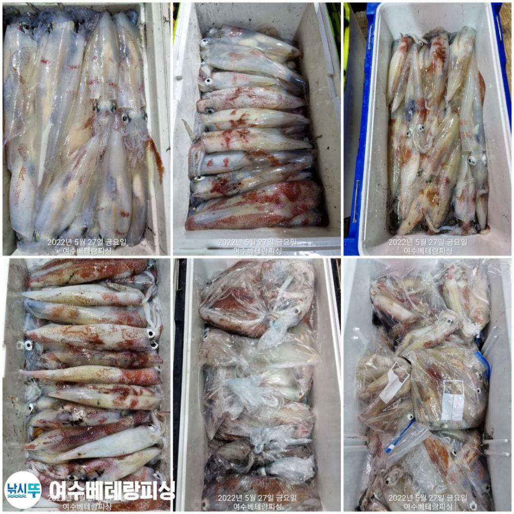 F1690399XU.jpg