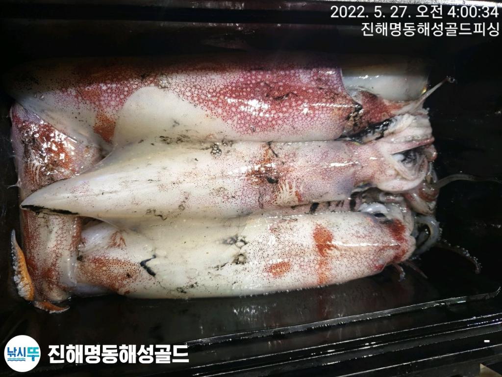 F16915034N.jpg
