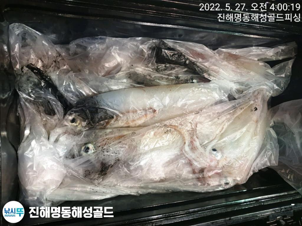 F1691505KF.jpg