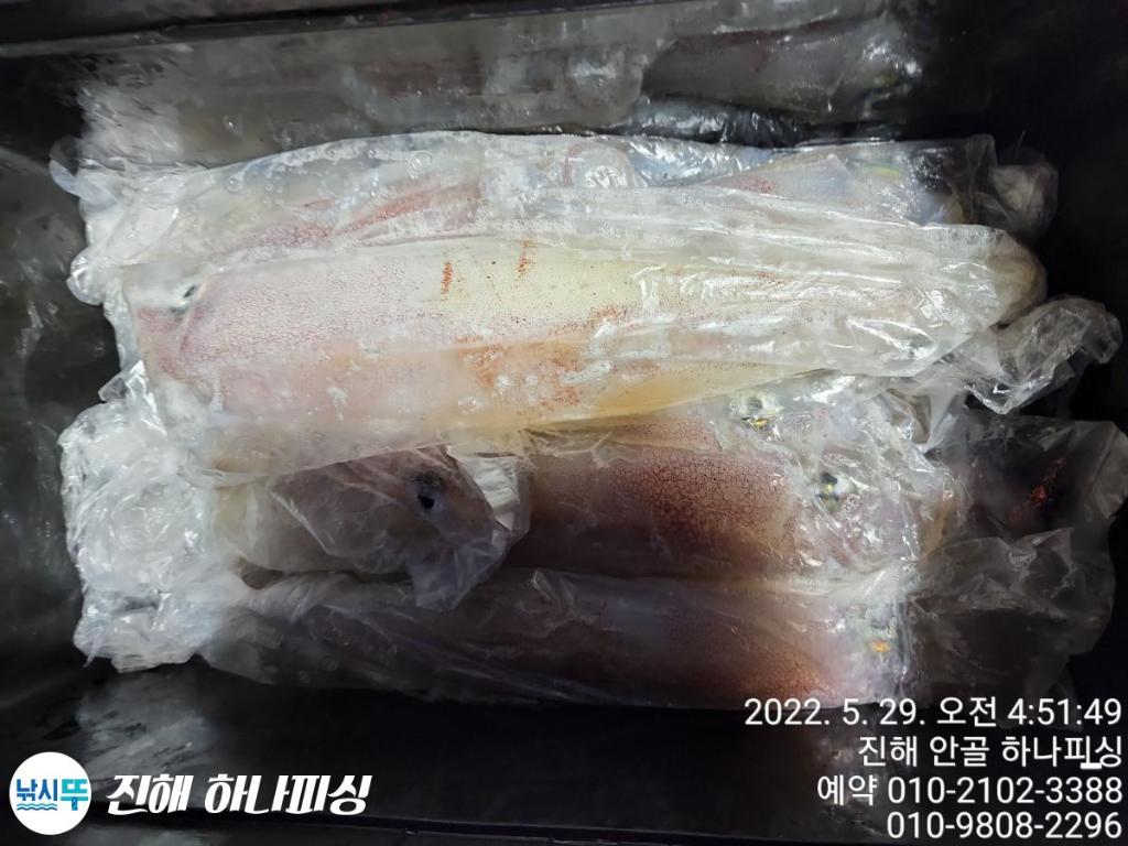F1693161QQ.jpg