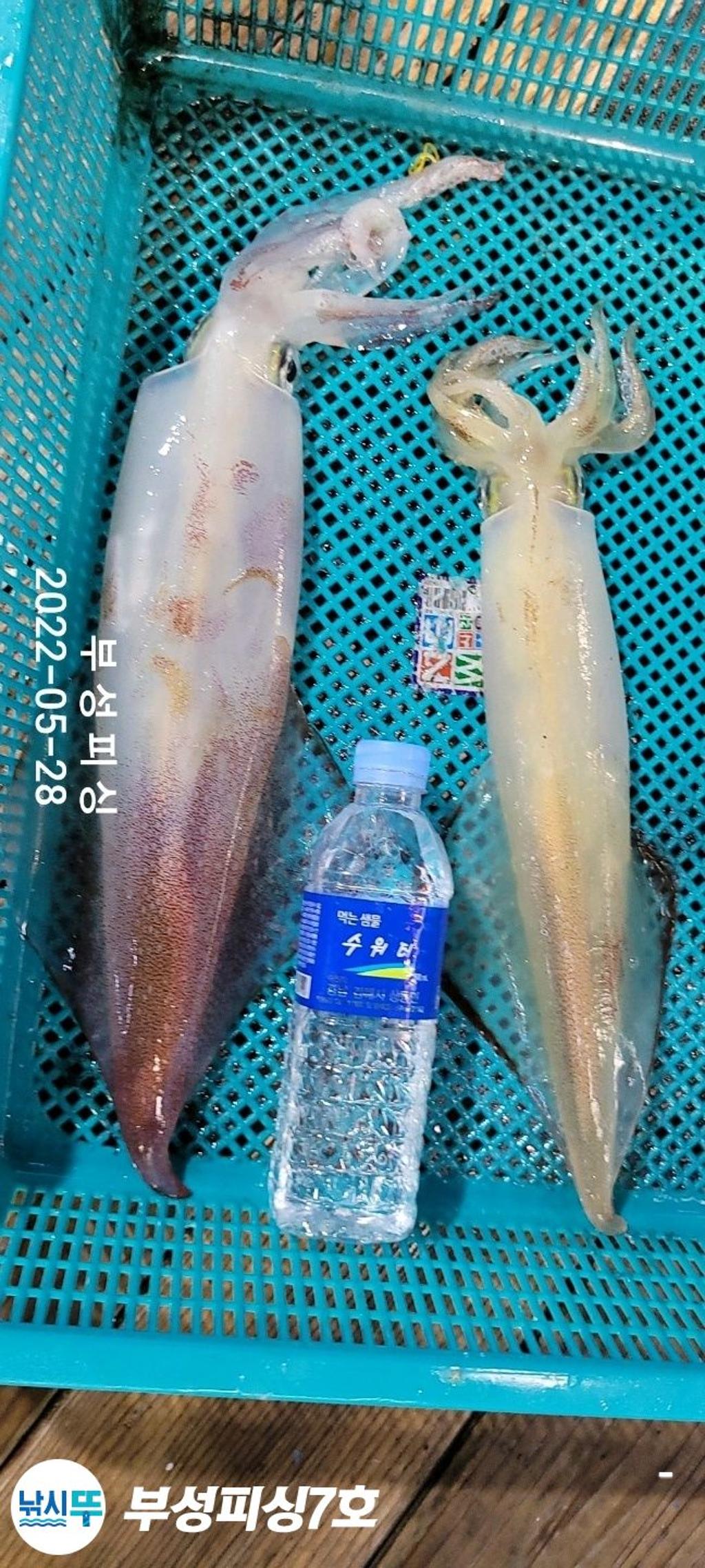 F1693612Z1.jpg