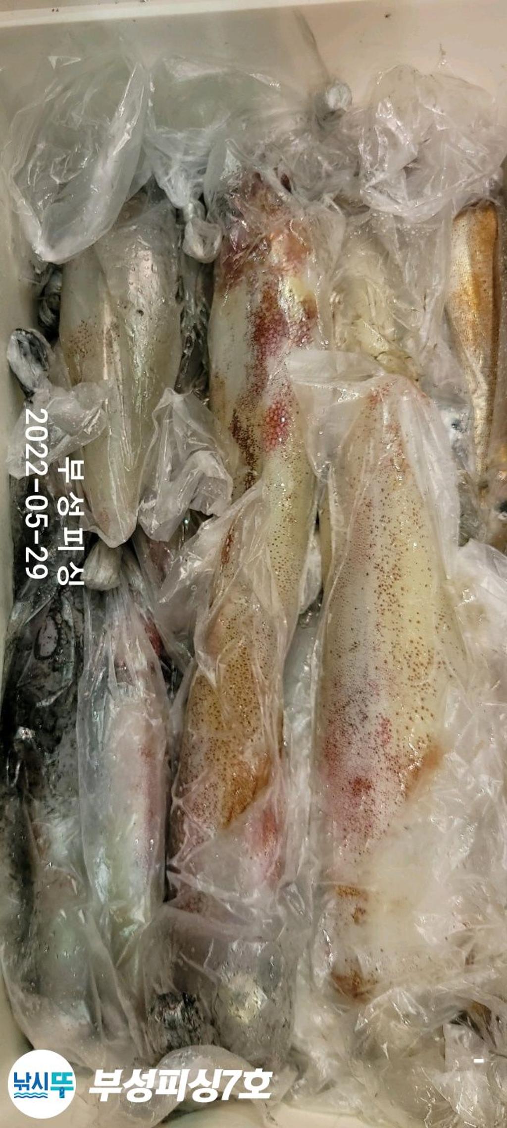 F16936173T.jpg