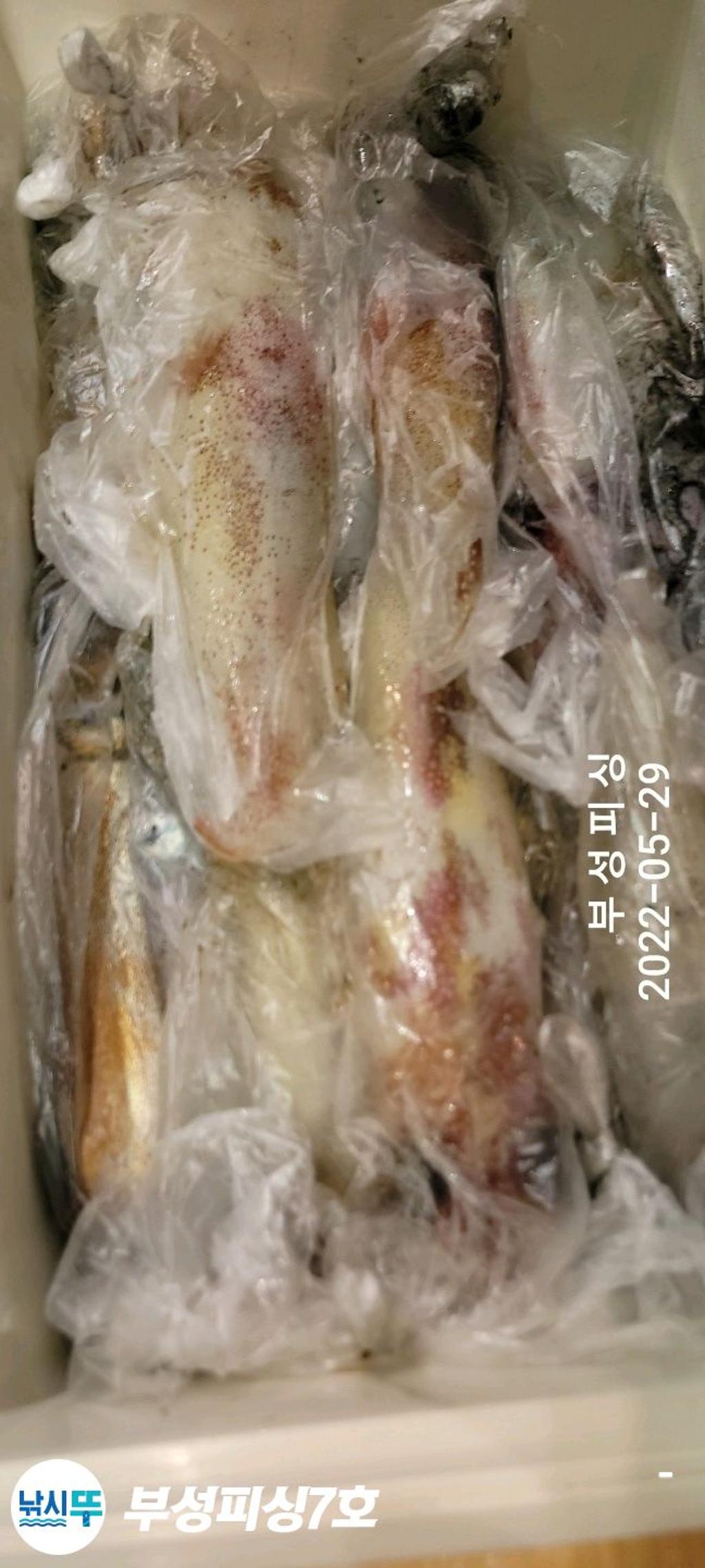 F1693619Q1.jpg