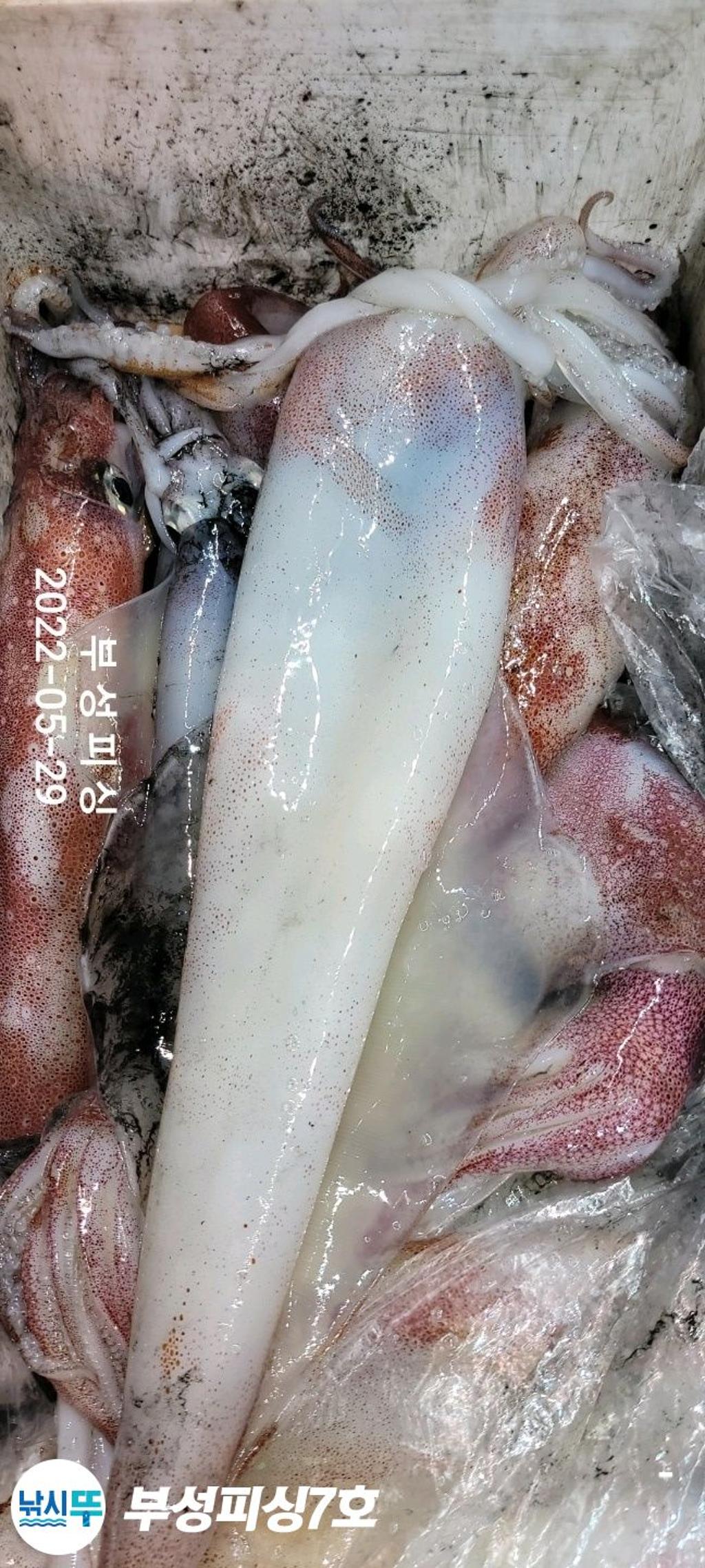 F1693635EB.jpg