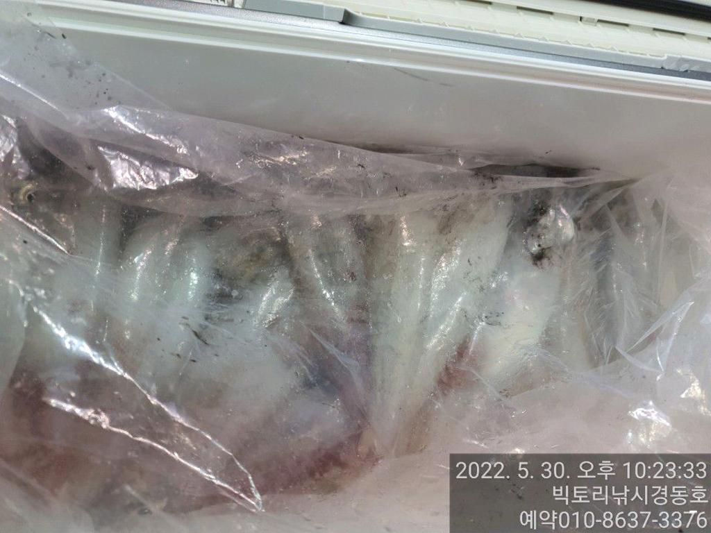 F1695167Z7.jpg