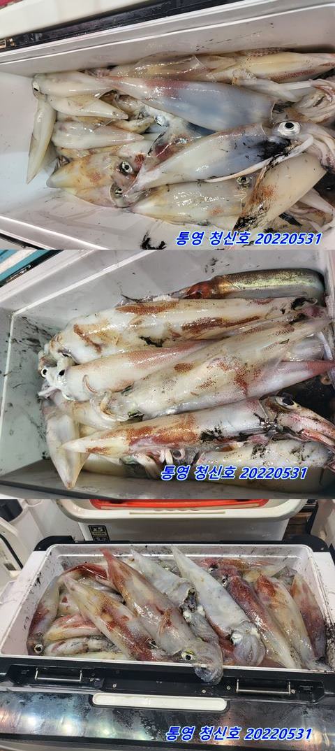 F1695757DV.jpg