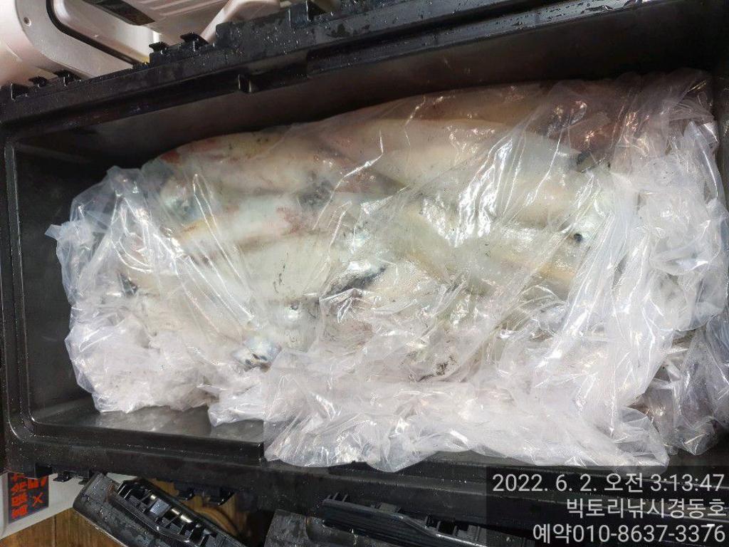 F16982632H.jpg