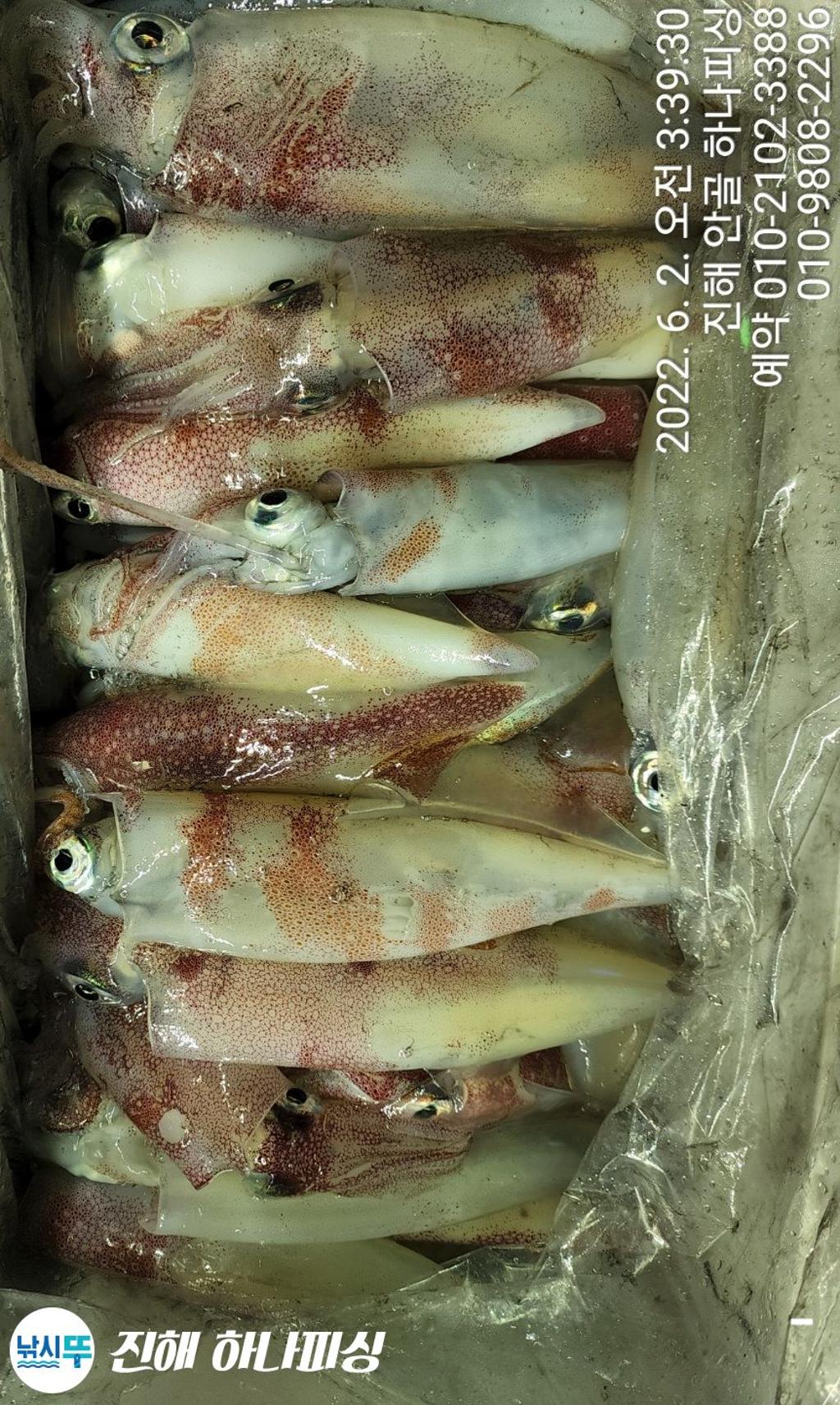 F1698397CR.jpg