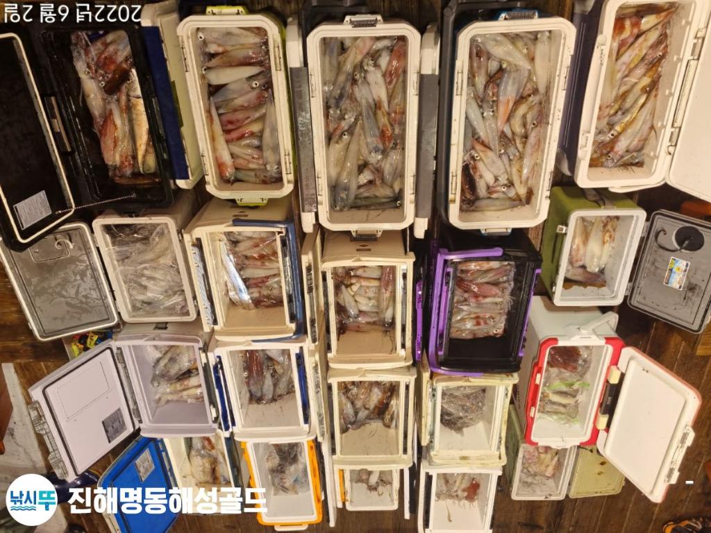 F1698463OW.jpg