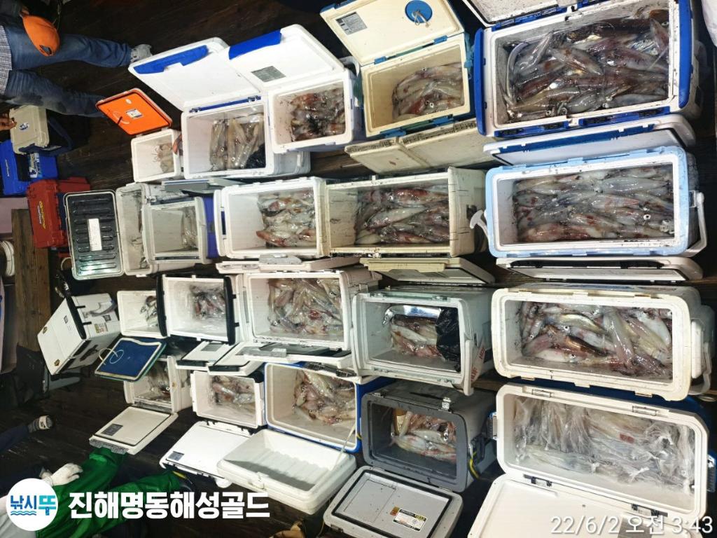 F1698524BI.jpg
