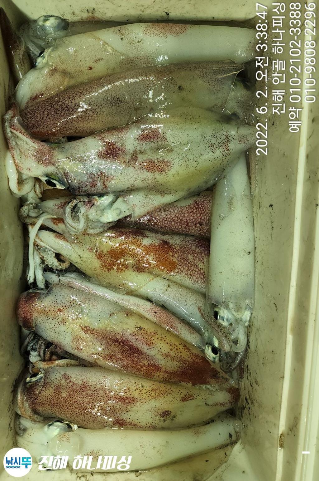 F169911339.jpg
