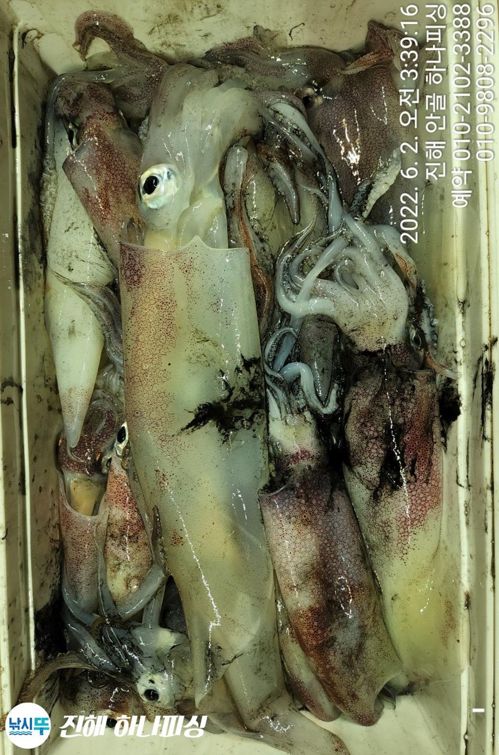 F1699119KL.jpg