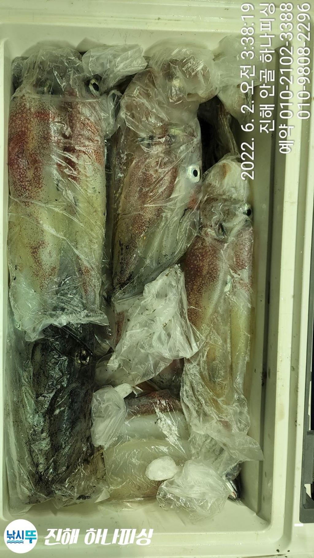 F169912410.jpg